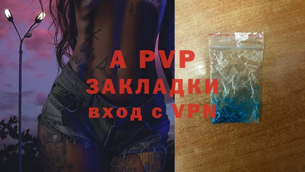 сатива Алексин